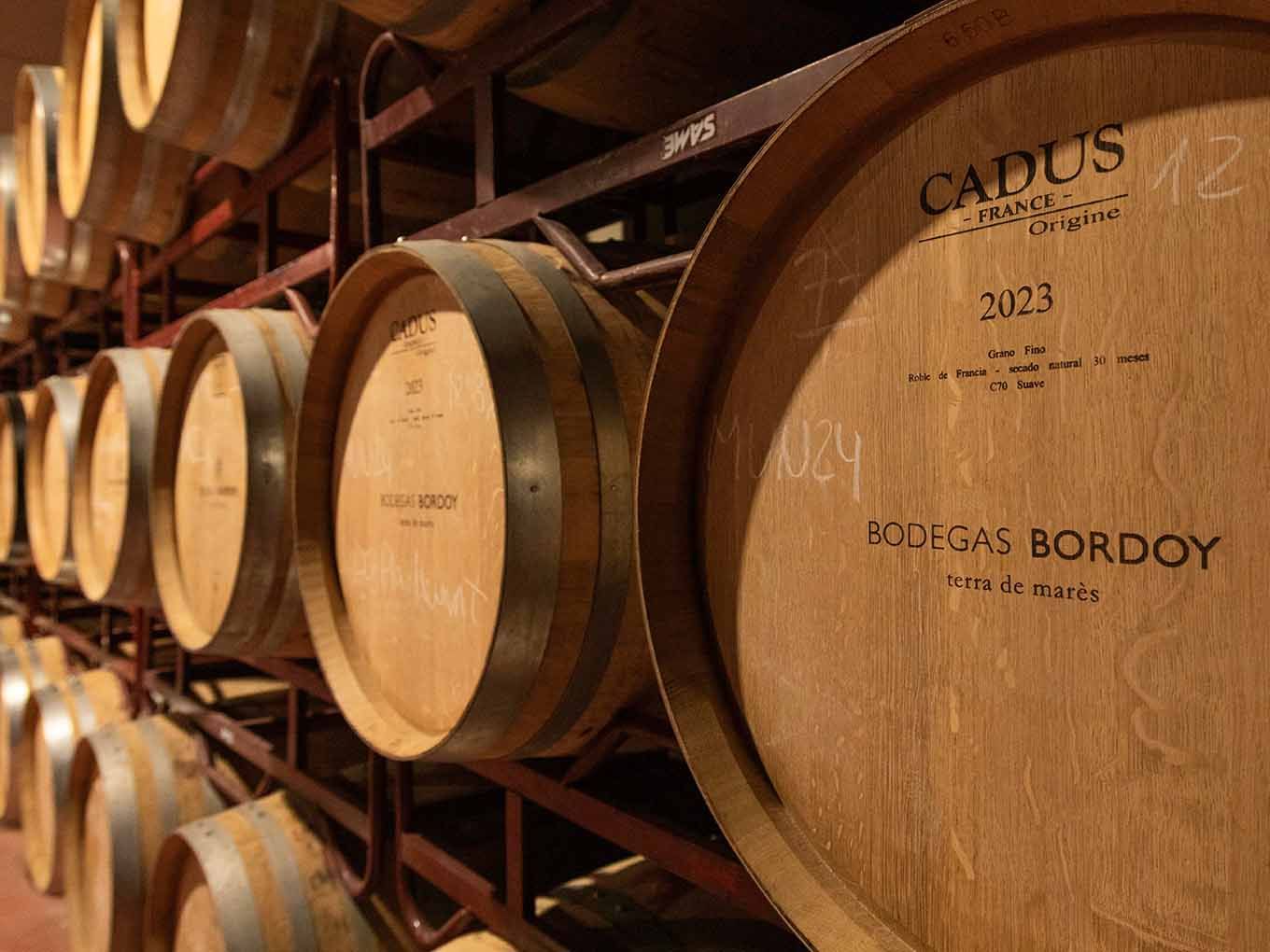 Bótes de roure francès amb gravat Bodegas Bordoy a la sala de criança