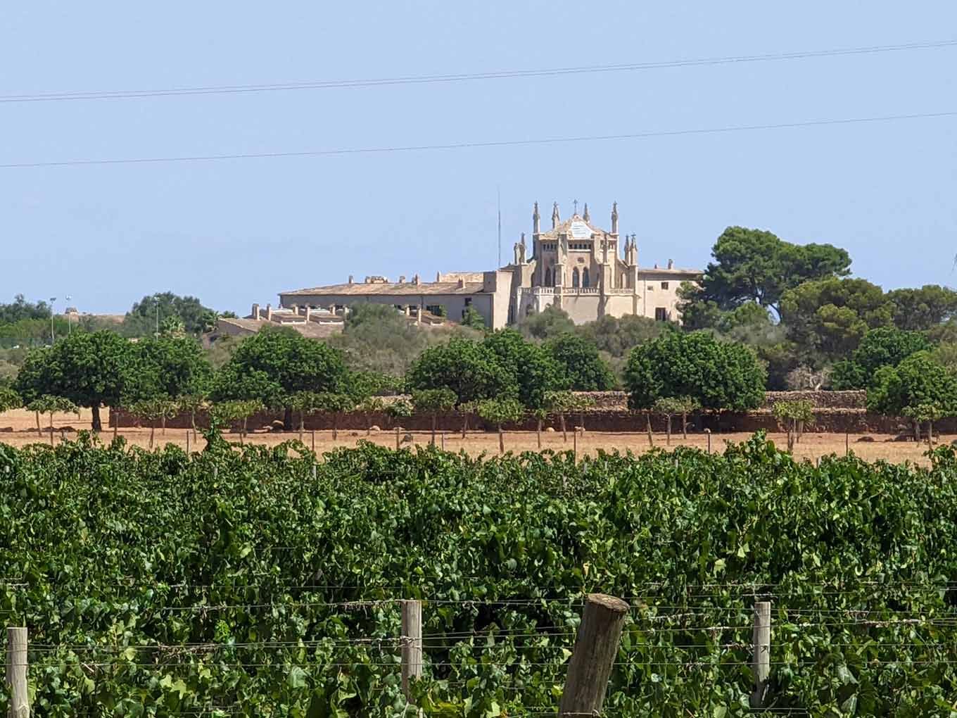 Vinyes amb la capella neogòtica de la Finca Sa Torre al fons