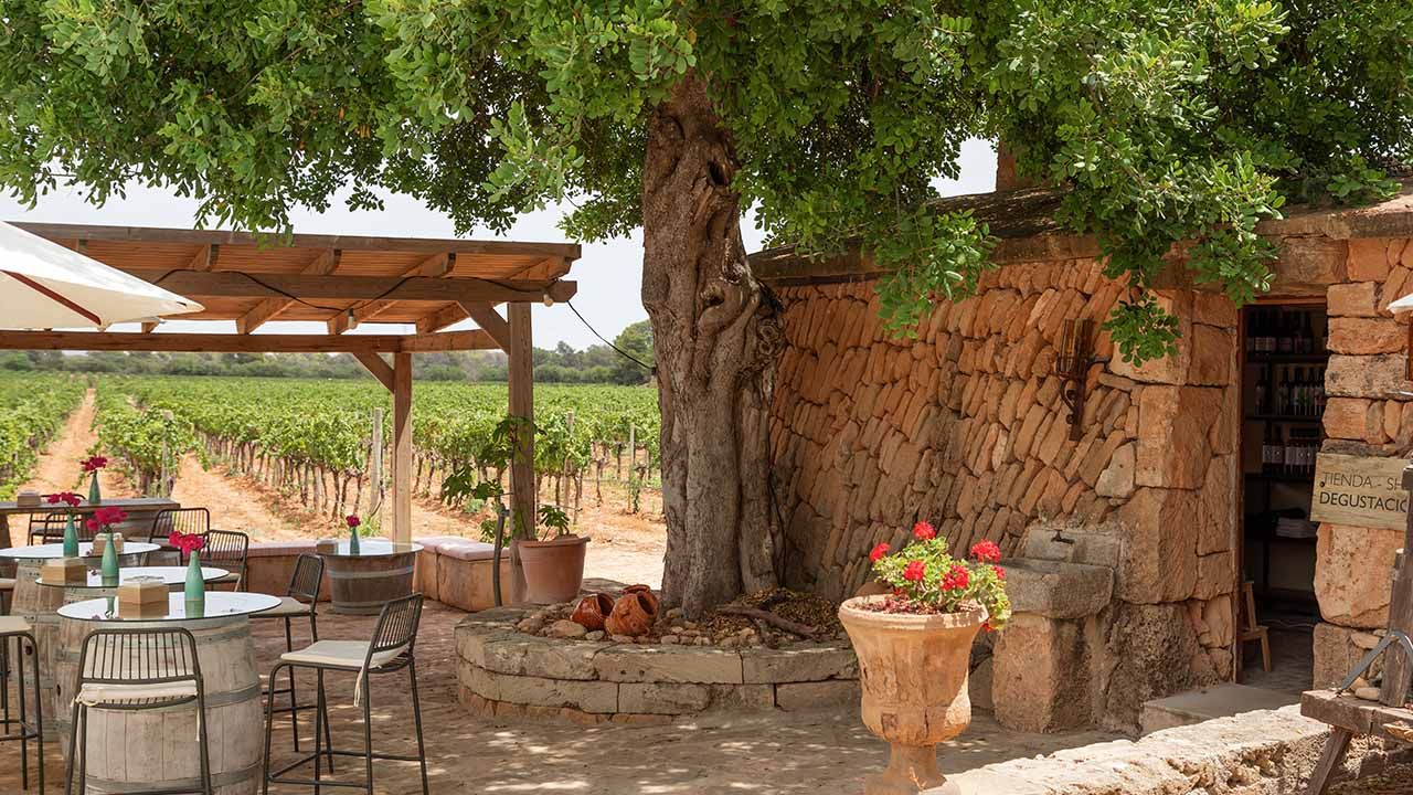 Weinterrasse und Weinladen von Bodegas Bordoy mit Blick auf die Weinberge