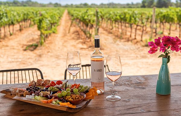 Wine tasting with tapas and vineyard views at Bodegas Bordoy