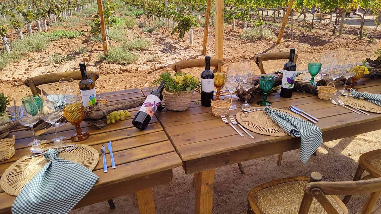 Table among vineyards for corporate events at Bodegas Bordoy