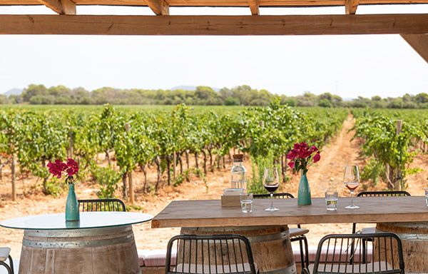 Open-air wine bar overlooking the vineyards at Bodegas Bordoy